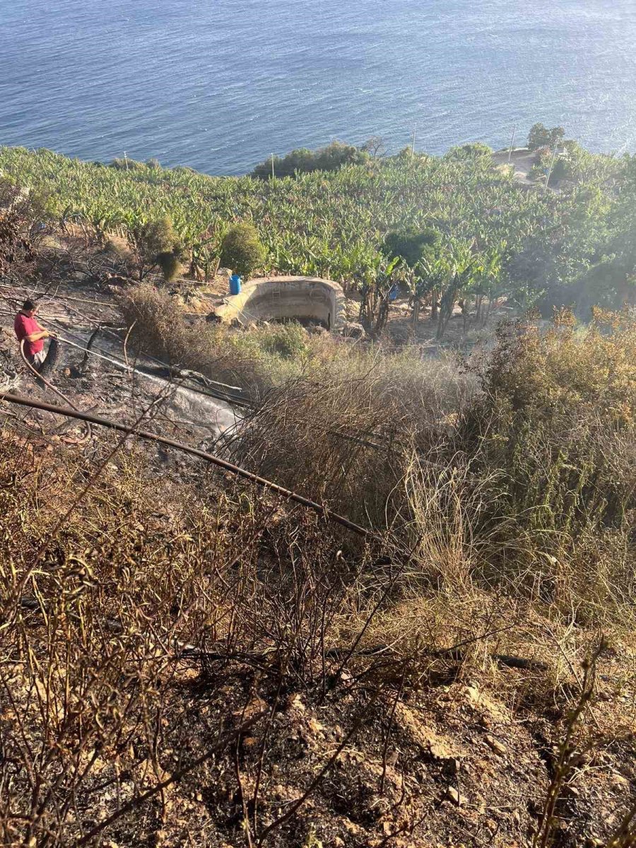 Antalya’da Ormanlık Alanda Ve Muz Bahçesinde Çıkan Yangında 8 Dönüm Alan Zarar Gördü