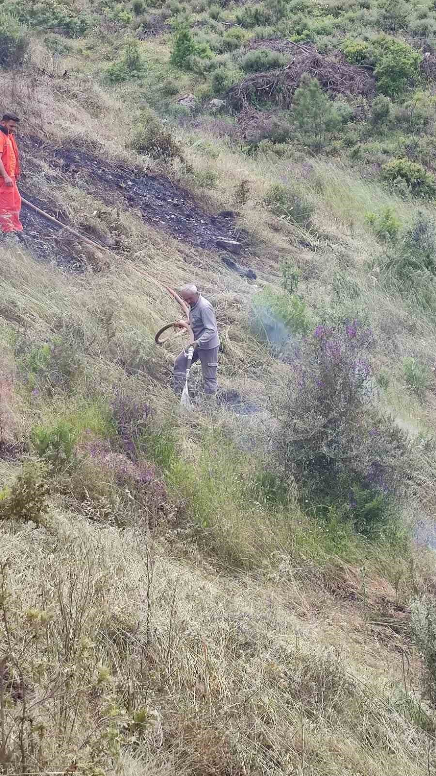 Antalya’da Ormanlık Alanda Ve Muz Bahçesinde Çıkan Yangında 8 Dönüm Alan Zarar Gördü