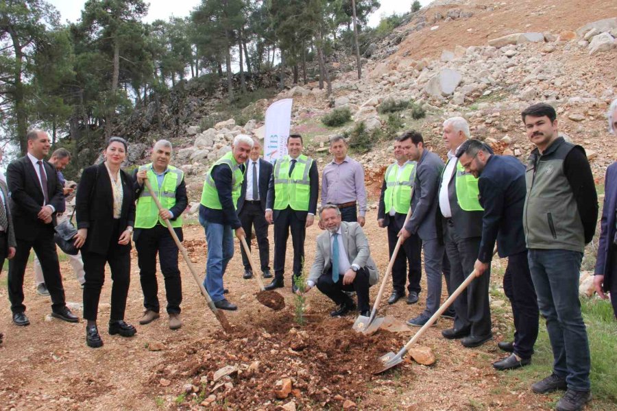 Terk Edilmiş Mermer Ocağı Rehabilite Edilerek Ağaçlandırıldı