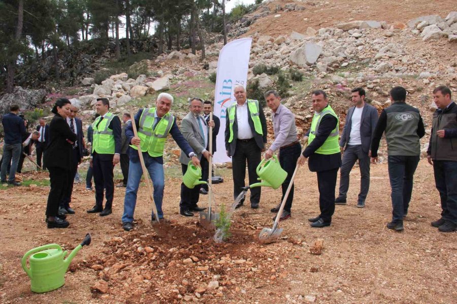 Terk Edilmiş Mermer Ocağı Rehabilite Edilerek Ağaçlandırıldı