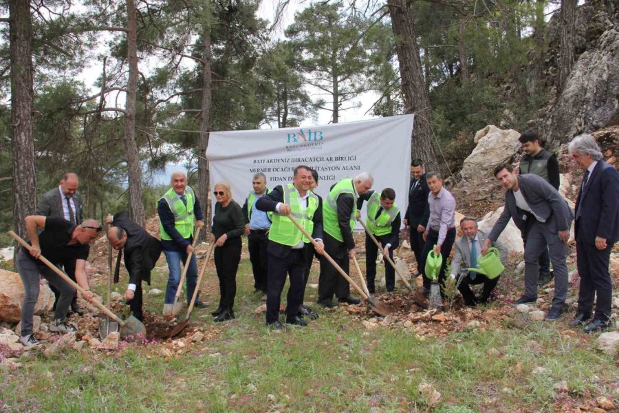 Terk Edilmiş Mermer Ocağı Rehabilite Edilerek Ağaçlandırıldı