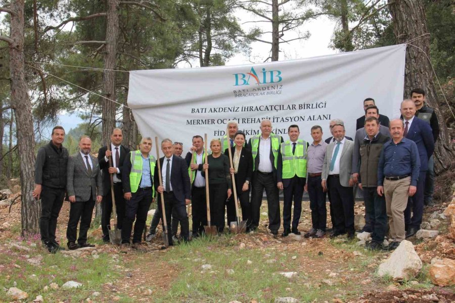 Terk Edilmiş Mermer Ocağı Rehabilite Edilerek Ağaçlandırıldı