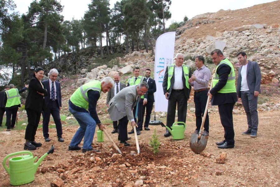 Terk Edilmiş Mermer Ocağı Rehabilite Edilerek Ağaçlandırıldı