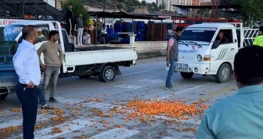 Mersin’de Kayısı 2 Günde 5 Liraya Düştü, Üretici Tepki Gösterdi