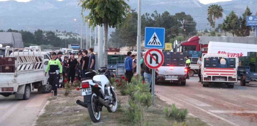 Mersin’de Kayısı 2 Günde 5 Liraya Düştü, Üretici Tepki Gösterdi