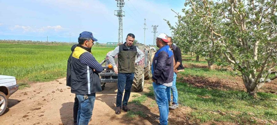 Konya’da Zararlılar Kameralı Tuzak Sistemi İle Takip Edilecek