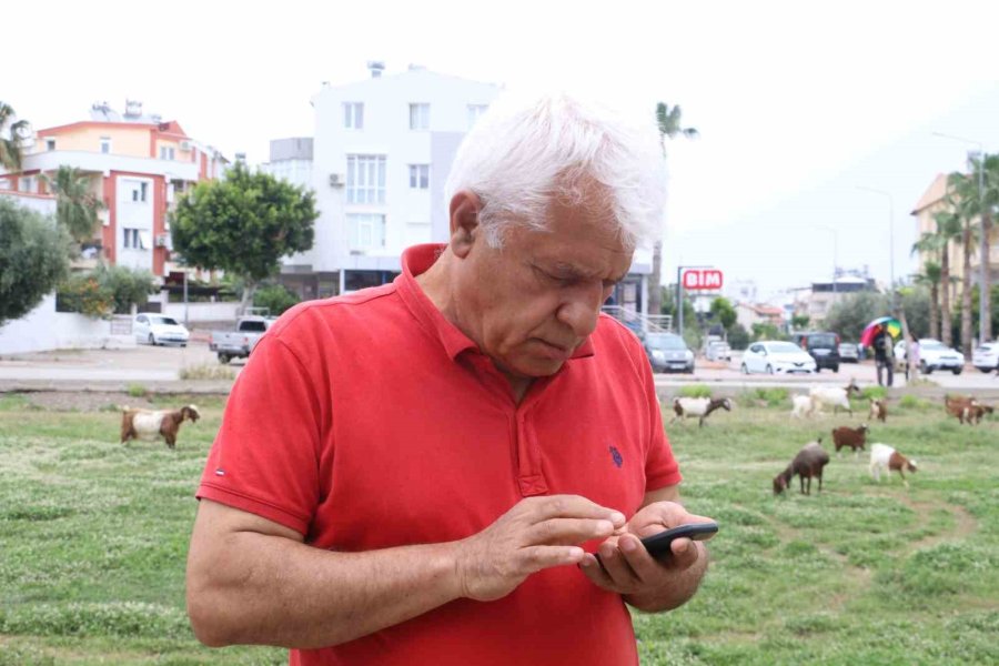 Antalya’da Köpek Balığının Balıkçı Teknesine Yaptığı Davranışları Uzman İsim Yorumladı