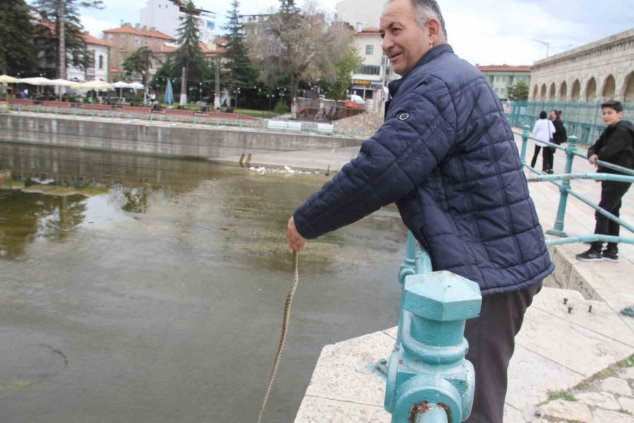 Konya’da Havalar Isındı, Yılanlar Ortaya Çıkmaya Başladı