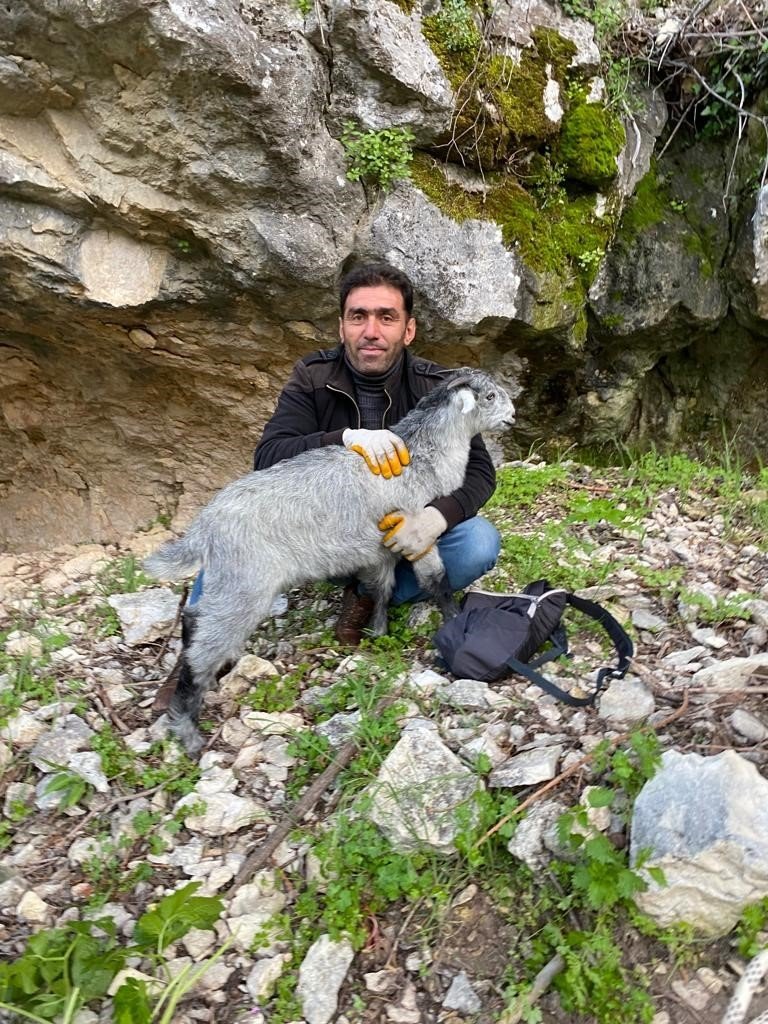 Kayalıklarda Yaralanan Turist İle Mahsur Kalan Keçi Kurtarıldı