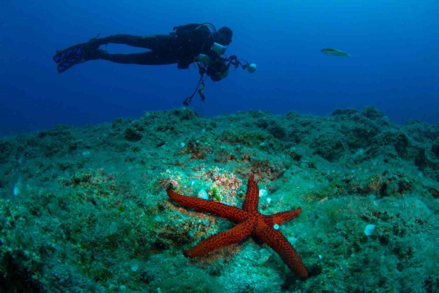 22. Uluslararası Kemer Su Altı Günleri