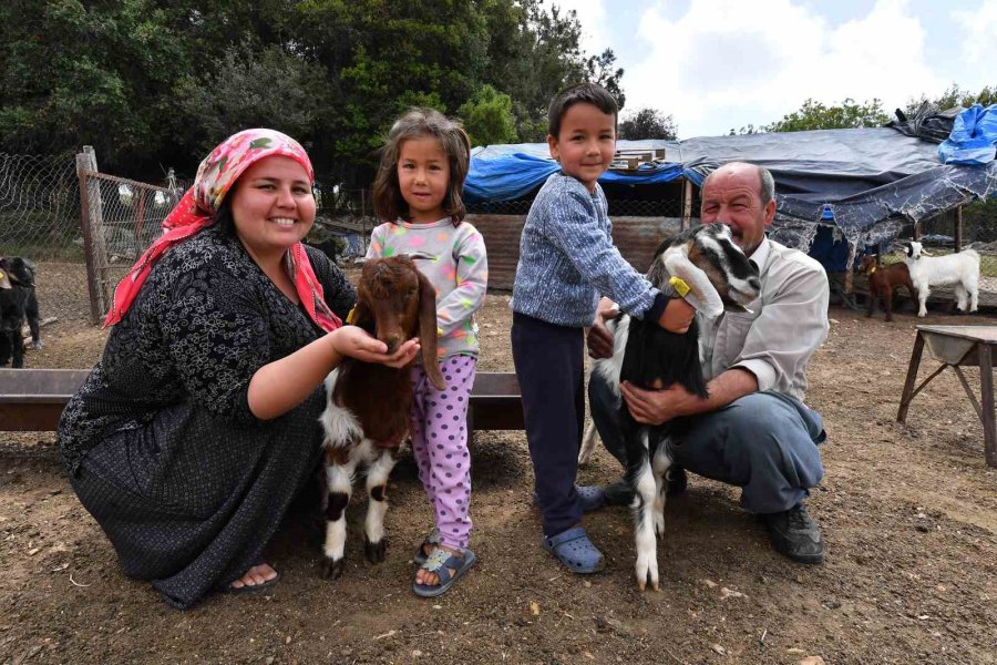 Başpınar Ailesinin Çadırı, Büyükşehir’in Güneş Paneli İle Aydınlatıldı