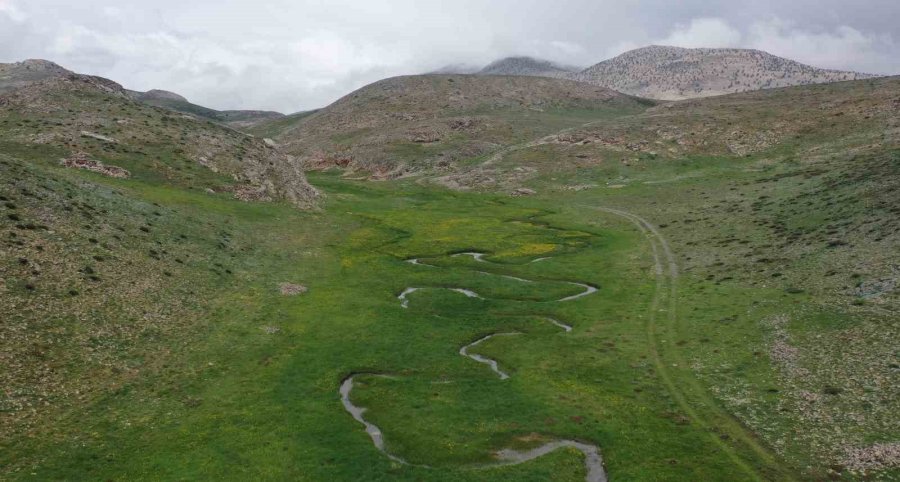 Torosların Balı Katar’a İhraç Edildi