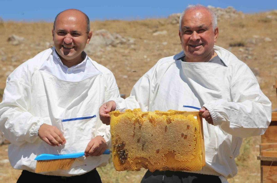 Torosların Balı Katar’a İhraç Edildi