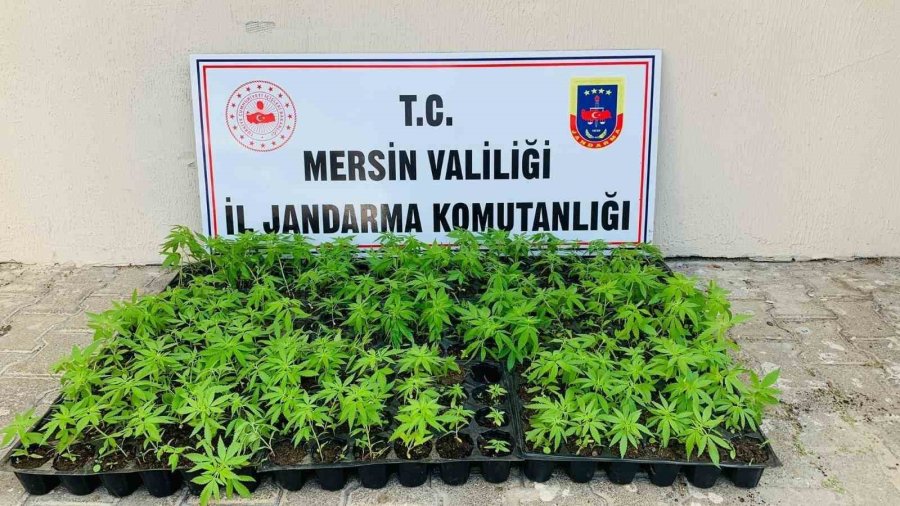 Mersin’de Uyuşturucu Operasyonu: 4 Gözaltı