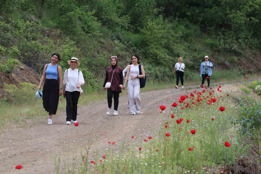 Gençler Doğayla Buluştu