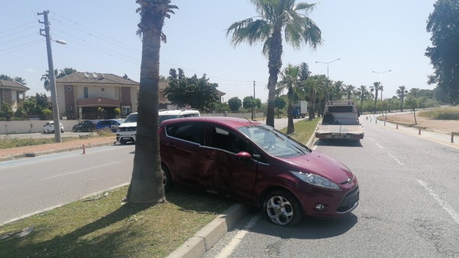 Palmiyeye Çarpan Alman Sürücünün Yalanını Güvenlik Kameraları Ortaya Çıkardı