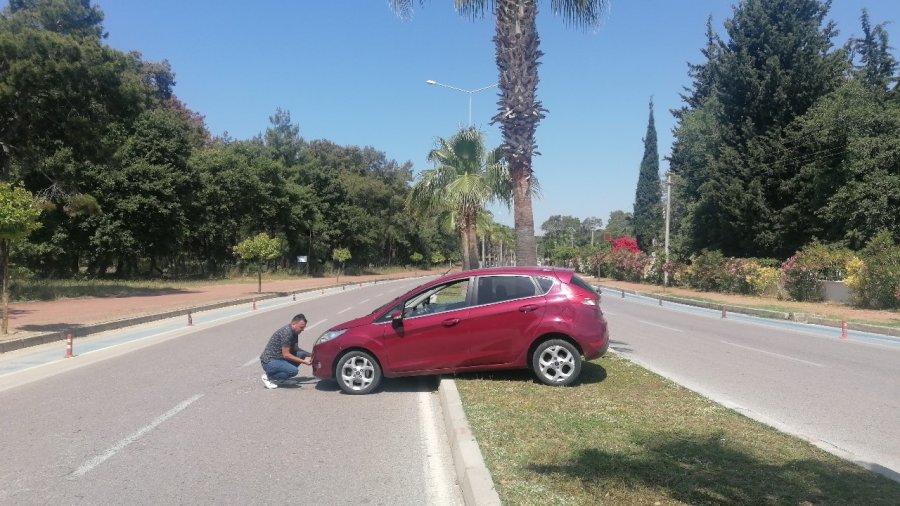 Palmiyeye Çarpan Alman Sürücünün Yalanını Güvenlik Kameraları Ortaya Çıkardı