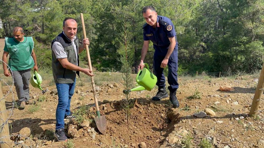 Antalya’da “izmarit Değil Tohum At” Sloganıyla Tohum, Fide Ve Fidan Dikimi Gerçekleştirildi