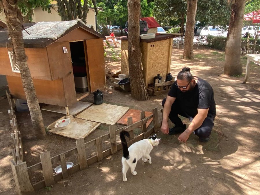 Bitkin Bulduğu Sokak Köpeği Arama Kurtarmada Görev Alacak