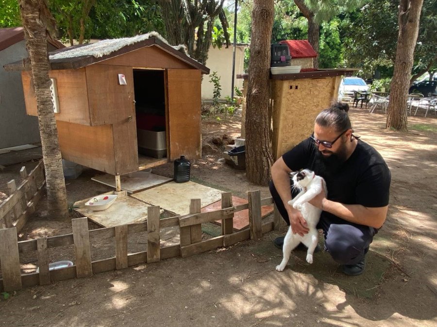 Bitkin Bulduğu Sokak Köpeği Arama Kurtarmada Görev Alacak