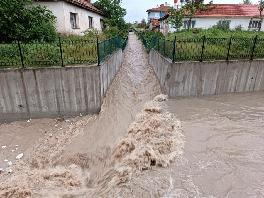 Seyitgazi Sele Teslim Oldu