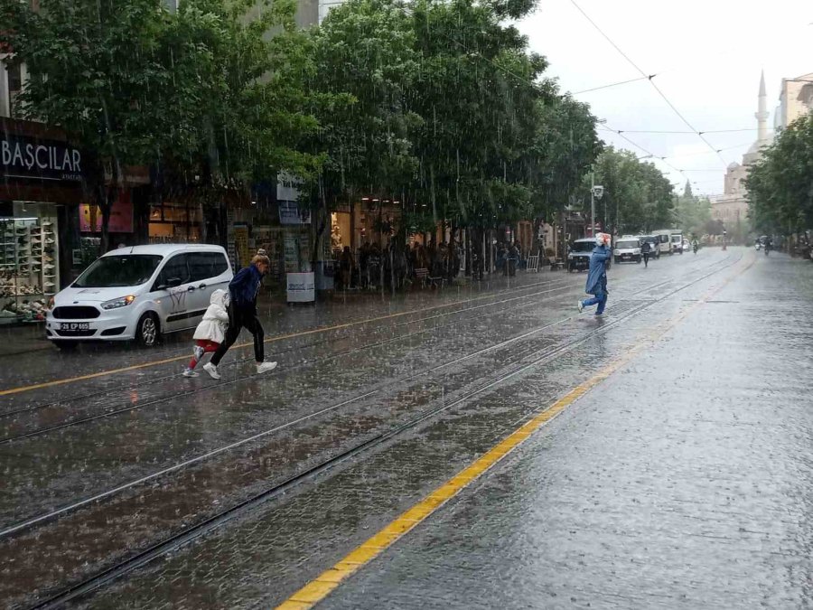 Yağmurdan Korunmak İçin Ağacın Altına Girdiler