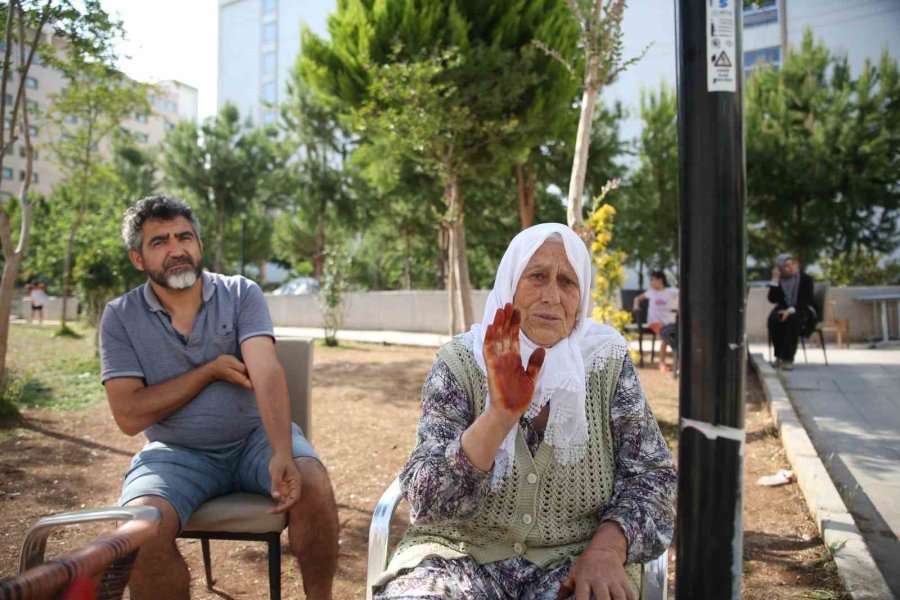 Mersin Depremzedelerin Yuvası Oldu