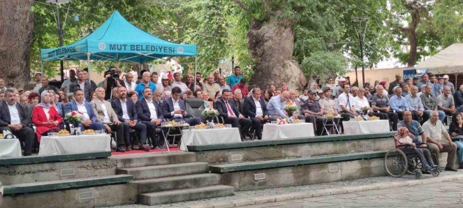 Mut Karacaoğlan Ve Kayısı Festivali Başladı