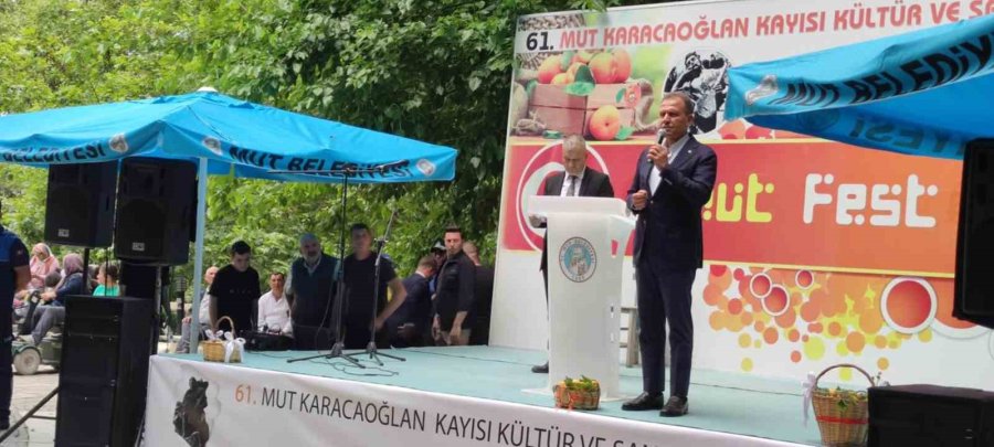 Mut Karacaoğlan Ve Kayısı Festivali Başladı