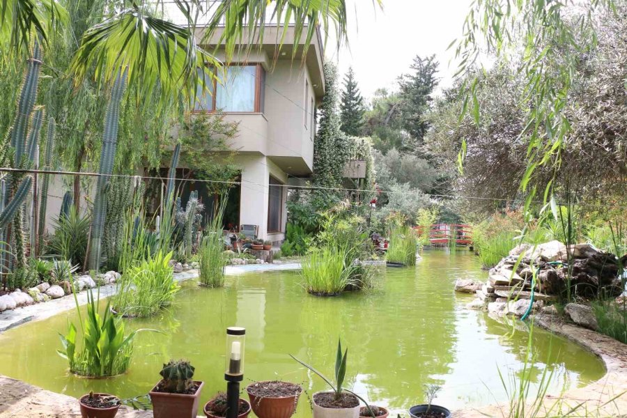 En Güzel Balkon Ve Bahçe Yarışması Sonuçlandı