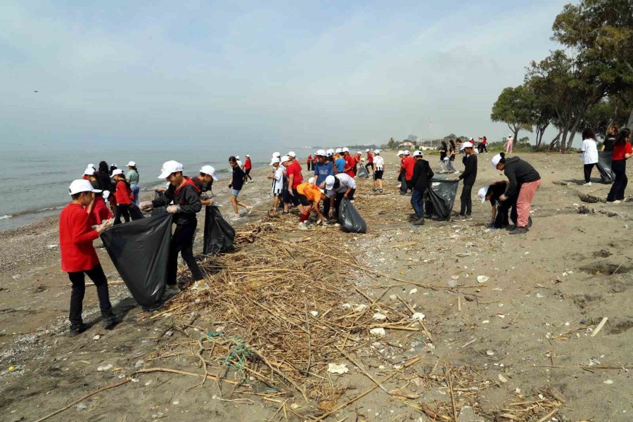 Akdeniz’de Caretta Carettaların Yuvalandığı Alanlar Temizlendi