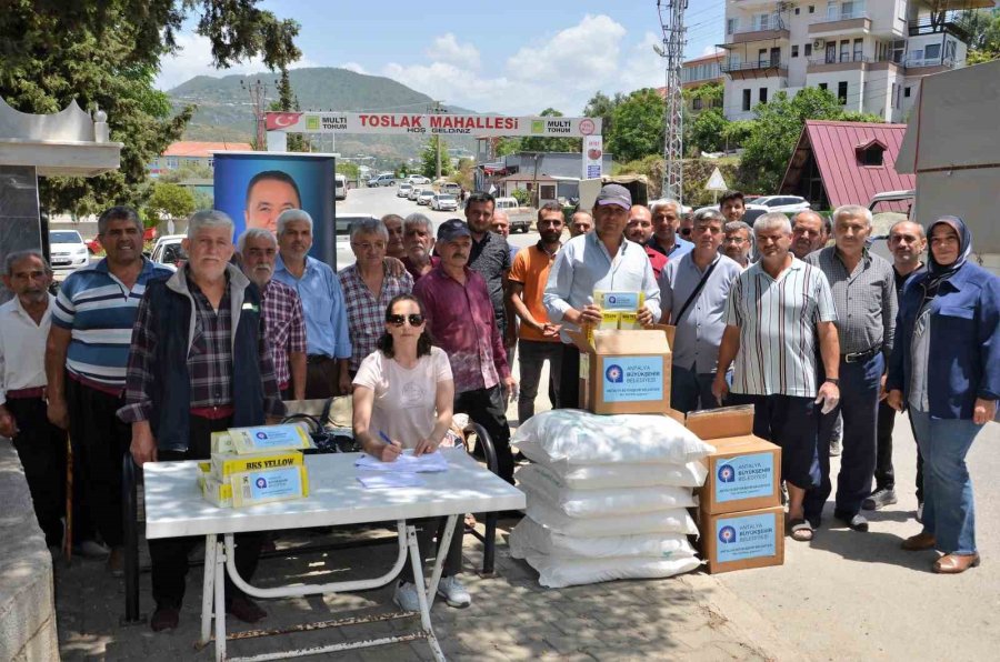 Alanyalı 117 Çiftçiye Tarımsal Hibe Desteği Verildi