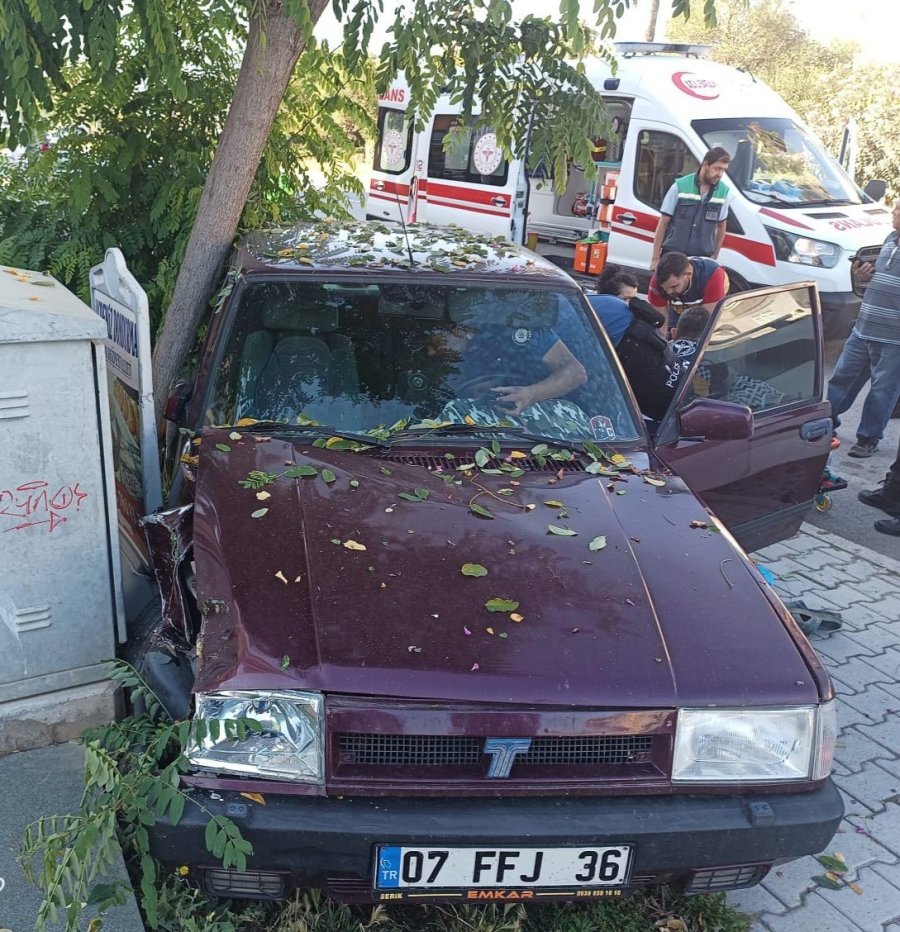 Otomobil Önce Kaldırılma Ardından Ağaca Çarptı: 1 Yaralı