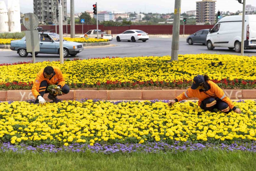 Mersin Renkleniyor