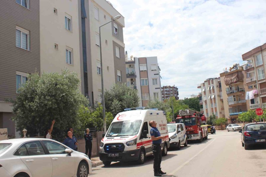 Eşinden Boşanamadığını Söyleyerek Çatıya Çıktı, Hem Ağlattı Hem Güldürdü