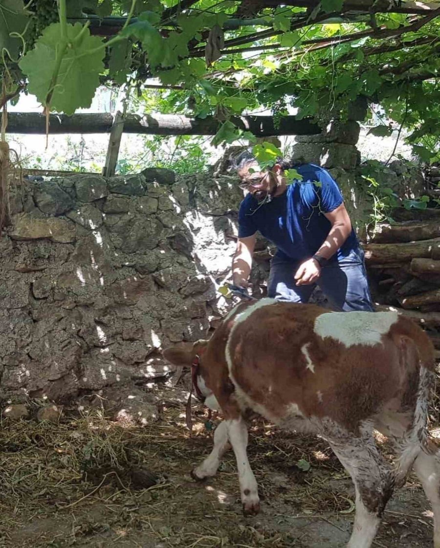 Bitki Sağlığı İle İlgili Kontroller Tamam