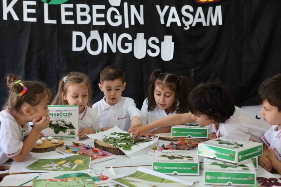 Büyükşehir’den Okullara İpekböceği Besleme Seti