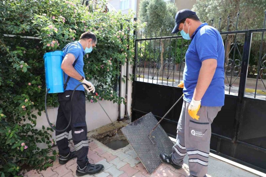 Sineksiz Yaz İçin İlaçlama Ordusu İş Başında