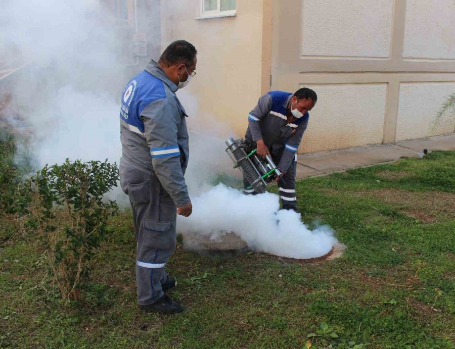 Sineksiz Yaz İçin İlaçlama Ordusu İş Başında