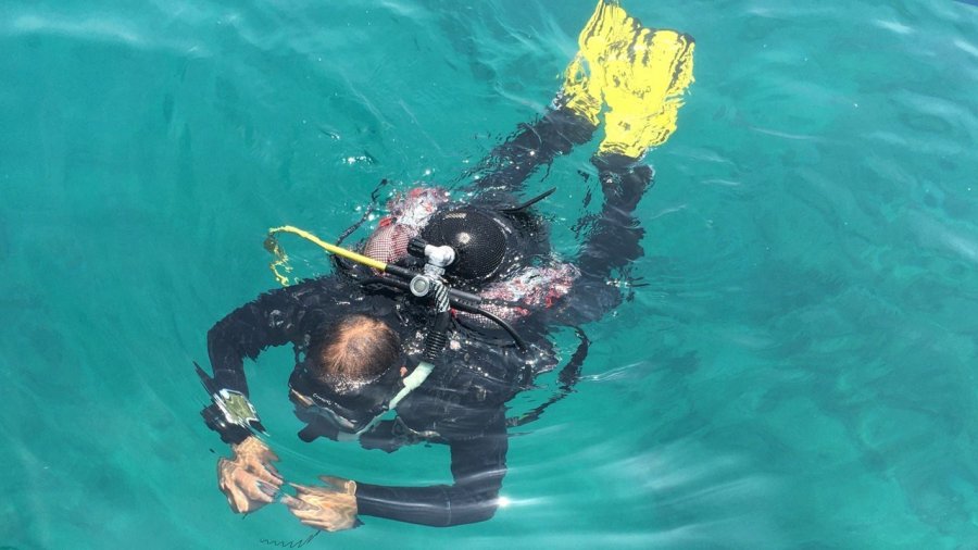 Akdeniz Boğsak Adası Çevresinde Zengin Biyoçeşitliliği Gözlendi