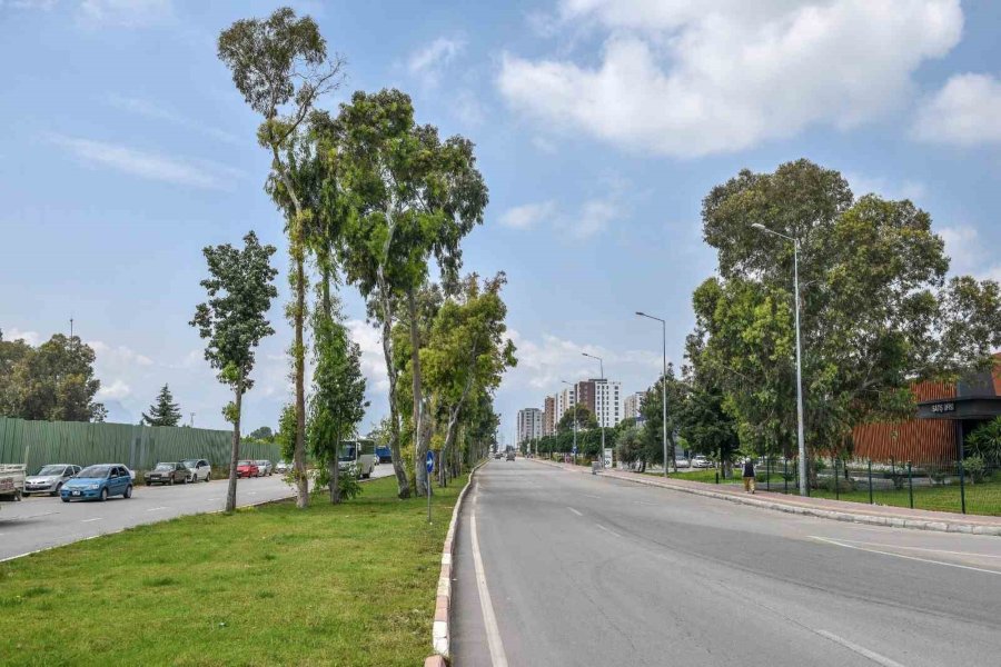 Antalya’nın Kurtuluş Caddesi Yemyeşil Oldu