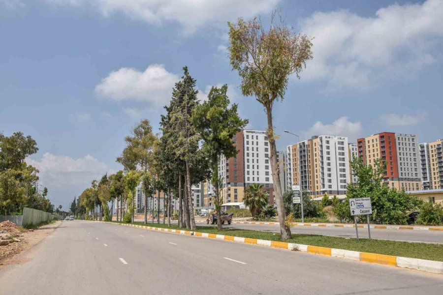 Antalya’nın Kurtuluş Caddesi Yemyeşil Oldu