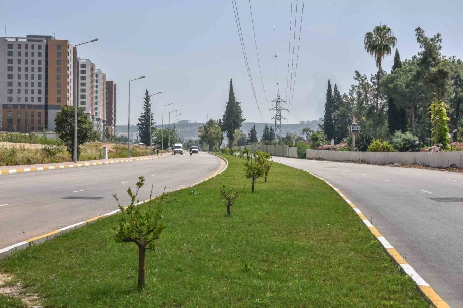 Antalya’nın Kurtuluş Caddesi Yemyeşil Oldu