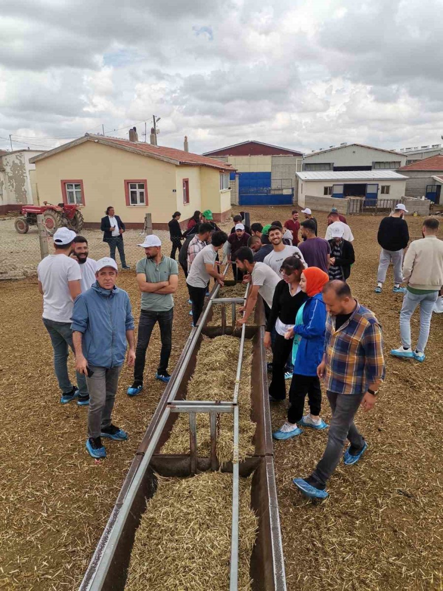 Akademisyenler Ve Öğrenciler Karapınar Koç Teke Üretim Merkezini Gezdi