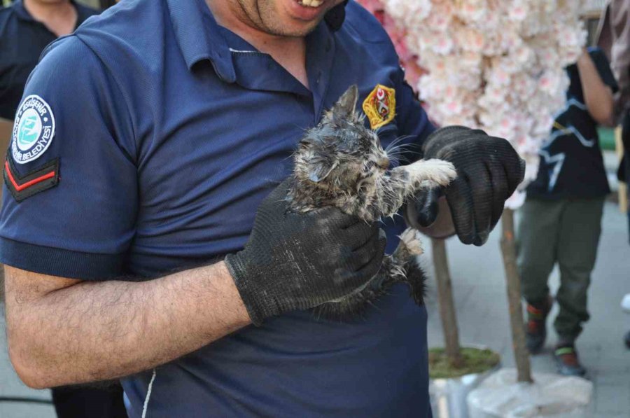 Aracın Altına Sıkışan Yavru Kedi İtfaiye Ekiplerince Kurtarıldı