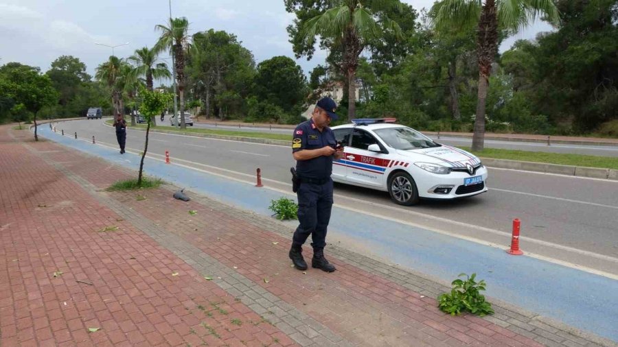 Kontrolden Çıkan Otomobil Ormanlık Alana Uçtu: 2 Yaralı