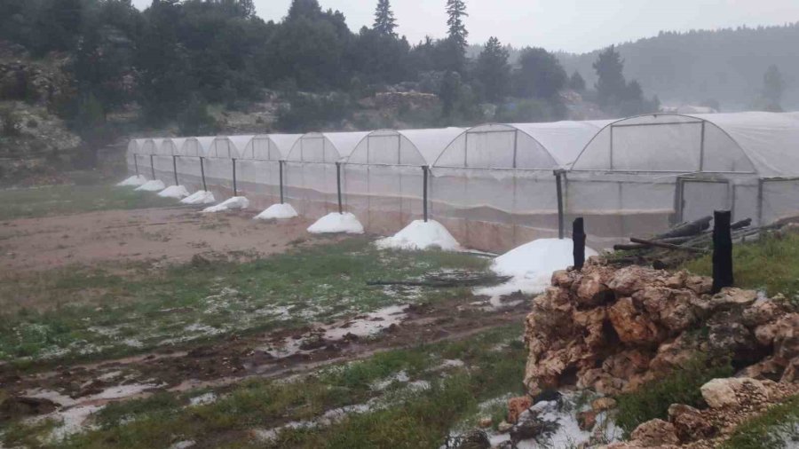 Erdemli’de Sağanak Sele Neden Oldu, Bahçeler Zarar Gördü