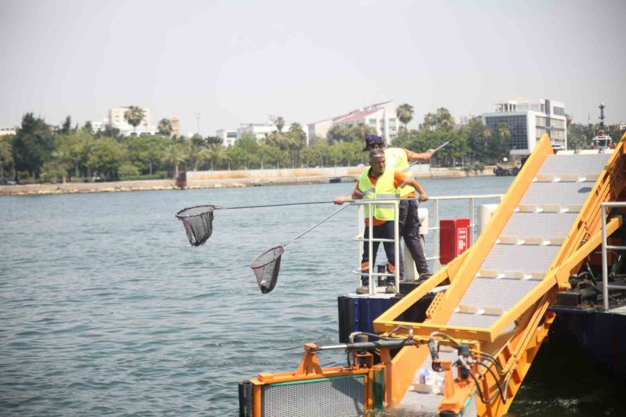 Mersin’e Gelen Gemilere Sıkı Denetim: Atıklarını Gelişigüzel Atamıyorlar