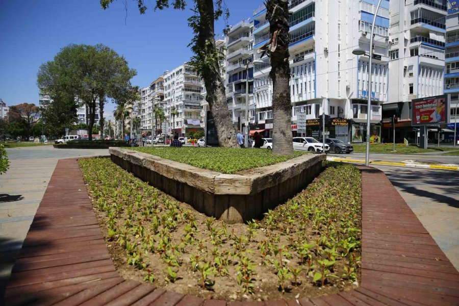 Antalya Bu Yaz Çiçek Bahçesine Dönecek