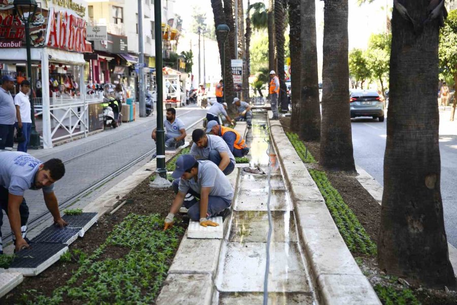 Antalya Bu Yaz Çiçek Bahçesine Dönecek